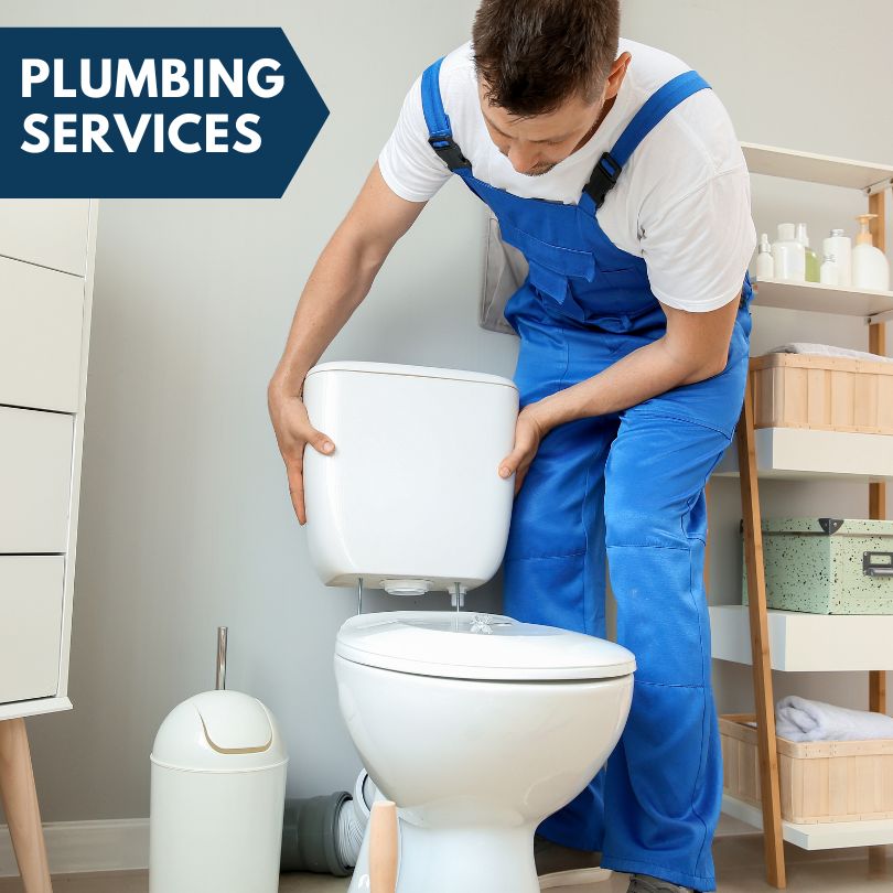 Plumbing Company in Roanoke, IL